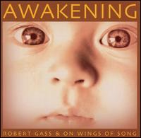 Robert Gass - Awakening lyrics