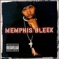 Memphis Bleek - The Understanding lyrics