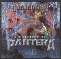 Domination - A Tribute to Pantera lyrics