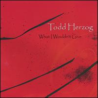 Todd Herzog - What I Wouldn't Give lyrics