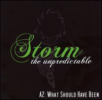 Storm the Unpredictable - A2: What Should Have Been lyrics
