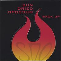 Sun Dried Opossum - Back Up lyrics