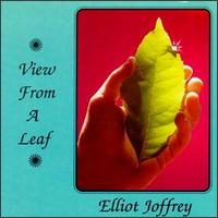 Elliot Joffrey - View from a Leaf lyrics
