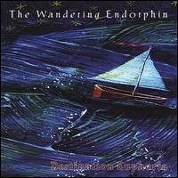 The Wandering Endorphin - Destination Euphoria lyrics