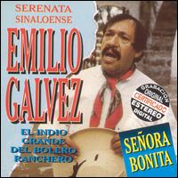 Emilio Glvez - Serenata Sinaloense lyrics