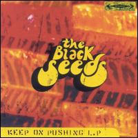 The Black Seeds - Keep on Pushing lyrics