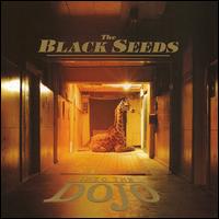 The Black Seeds - Into the Dojo lyrics