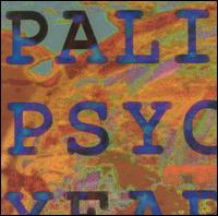 Palinckx - The Psychedelic Years lyrics