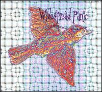 Widespread Panic - 'Til the Medicine Takes lyrics