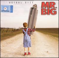 Mr. Big - Actual Size lyrics