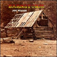 Joe Walsh - Barnstorm lyrics