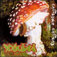 Incubus - Fungus Amongus lyrics