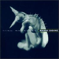 Radio Iodine - Tiny Warnings lyrics