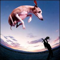 Paul Gilbert - Flying Dog lyrics