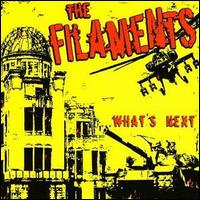 The Filaments - What's Next lyrics
