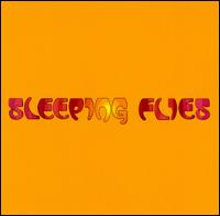 Sleeping Flies - You Are Superior lyrics