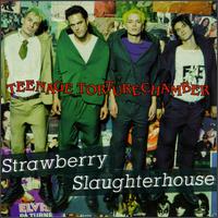Strawberry Slaughterhouse - Teenage Torture Chamber lyrics
