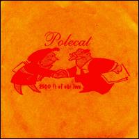 Polecat - 2500 Ft. of Our Love lyrics