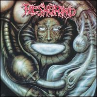 Fleshgrind - Destined for Defilement lyrics