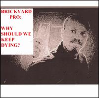 Brickyard Pro - Why Should We Keep Dying? lyrics