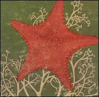 The Blithe Sons - Arm of the Starfish lyrics