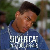 Silvercat - In a Foul Affair lyrics