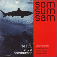 Som Sum Sam - Beauty Under Construction lyrics