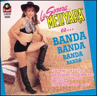 Sonora Meliyara - Es...Banda Banda Banda Banda lyrics