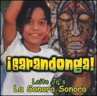 La Sonora Sonora - Por el Mismo Camino lyrics