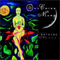 Sky Cries Mary - Moonbathing on Sleeping Leaves lyrics
