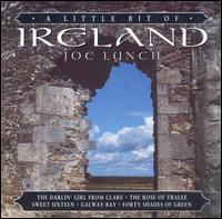 Joe Lynch - A Little Bit of Ireland lyrics