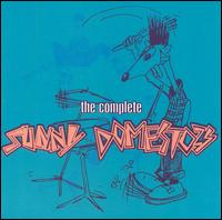 Sunny Domestozs - Complete lyrics