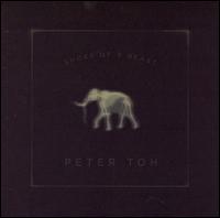 Peter Toh - Shoes of a Beast lyrics