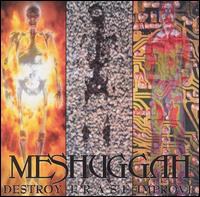 Meshuggah - Destroy Erase Improve lyrics