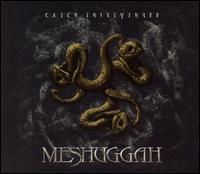 Meshuggah - Catch Thirty-Three lyrics
