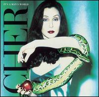 Cher - It's a Man's World lyrics