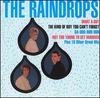 The Raindrops - The Raindrops [Bonus Tracks] lyrics