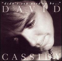 David Cassidy - Didn't You Used to Be ... lyrics