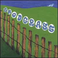 Snodgrass - Snodgrass lyrics