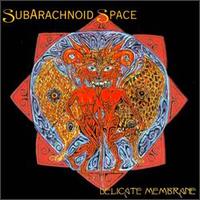 SubArachnoid Space - Delicate Membrane lyrics