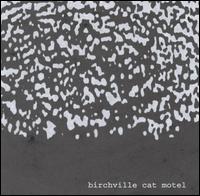 Birchville Cat Motel - Siberian Earth Curve lyrics