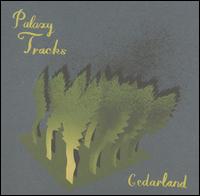 Palaxy Tracks - Cedarland lyrics