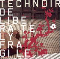 Technoir - Deliberately Fragile lyrics