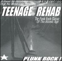 Teenage Rehab - Plunk Rock lyrics
