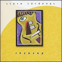 Steve Cardenas - Shebang lyrics