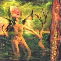 Maximum Indifference - The Transmutations of Supposed Angels: Or Beings That Were Once Girls lyrics