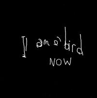 Antony and the Johnsons - I Am a Bird Now lyrics