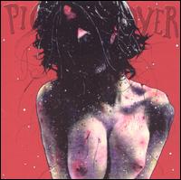 Pig Destroyer - Terrifyer [Bonus DVD] lyrics