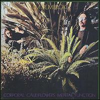 Jim Pembroke - Corporal Cauliflowers Mental Function lyrics