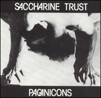 Saccharine Trust - Paganicons lyrics